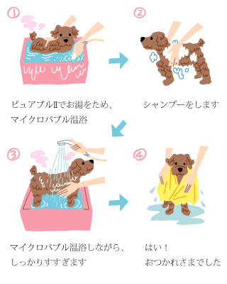 ペットの洗い方